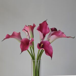 Atificial EVA Callalily Flower 3PCS