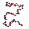 rose red
