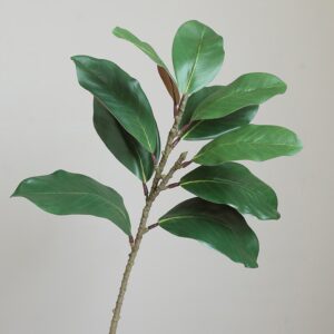 High Quality Simulation Magnolia Leaf for Decoration