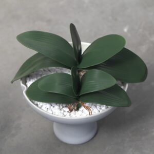 Artificial Cymbidium Leaves Clivia Leaf for Decoration