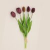 dark purple