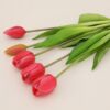 rose red