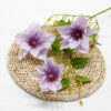 light purple