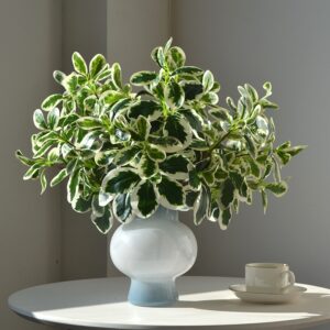 High Quality Leaf of Ivy Tree Schefflera Artificial Leaf for Decoration