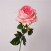 dark pink