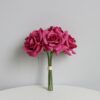 rose red