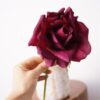 purple red