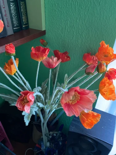 High Quality Artificial Poppy Flower For Home Decoration photo review