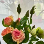 High Quality Hand Feel Moisturizing Artificial Rose MG photo review