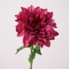 rose red
